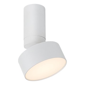 Rabalux - LED Plafondlamp LED/10W/230V 3000K wit