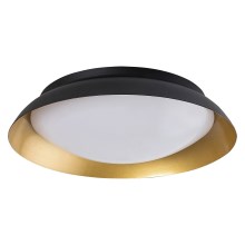 Rabalux - LED Plafondlamp LED/20W/230V 3000K diameter 30 cm