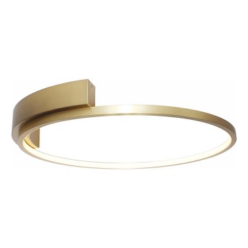 Rabalux - LED Plafondlamp LED/23W/230V