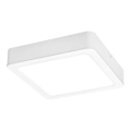 Rabalux - LED Plafondlamp LED/24W/230V 22x22 cm