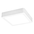 Rabalux - LED Plafondlamp LED/24W/230V 4000K 22x22 cm wit