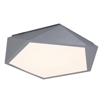 Rabalux - LED Plafondlamp LED/30W/230V 3000K