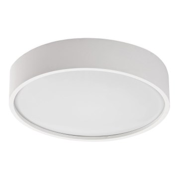 Rabalux - LED Plafondlamp met sensor LED/19W/230V IP44 4000K Ø 28,5 cm wit