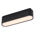 Rabalux - LED Plafondlamp voor 1-fase railsysteem LED/6W/24V 3000K 11,5 cm zwart