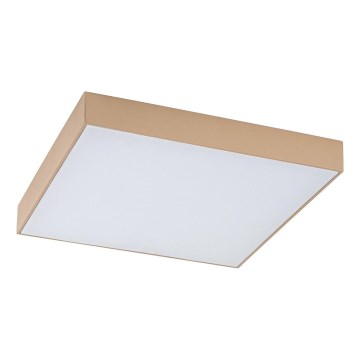 Rabalux - LED plafondlamp voor badkamer LED/24W/230V 2800/4000/6000K IP44