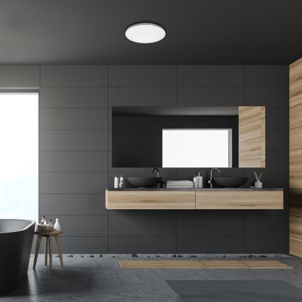 Rabalux - LED-plafondlamp voor de badkamer, 20W/230V, IP44, Ø 29 cm