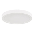 Rabalux - LED plafondlamp voor de badkamer LED/30W/230V Ø 30 cm IP44 wit