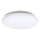 Rabalux - LED Plafondverlichting 1xLED/20W/230V