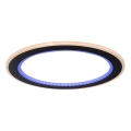 Rabalux - LED RGB dimbare plafondlamp LED/22W/230V 3000-6500K Ø 45 cm + afstandsbediening