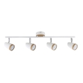 Rabalux - LED Spot 4xLED/4W/230V