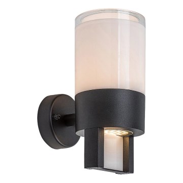 Rabalux - LED Wandlamp voor buiten LED/12W/230V IP44
