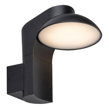 Rabalux - LED Wandlamp voor buiten LED/12W/230V IP54