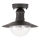 Rabalux - Plafondverlichting buiten 1xE27/60W IP44