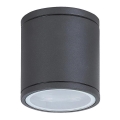 Rabalux - Plafondverlichting buiten 1xGU10/35W/230V IP54