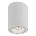 Rabalux - Spot 1xGU10/25W/230V rond wit