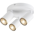 Rabalux - Spotlamp 3xGU10/15W/230V wit