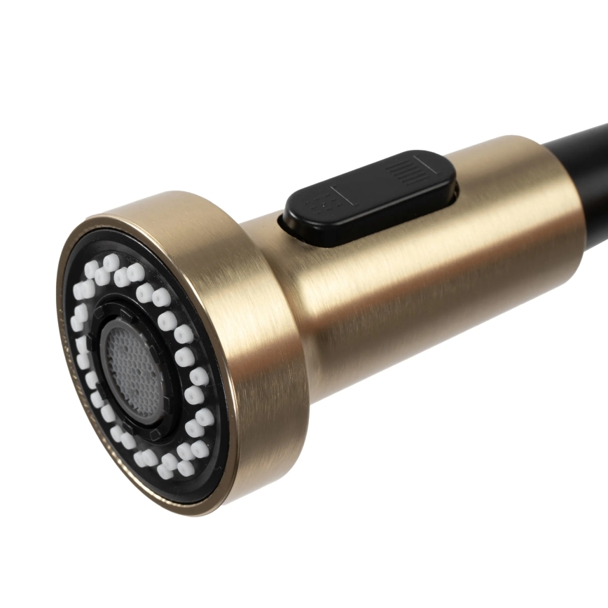 REA-B4821 - Keukenkraan met uittrekbare uitloop COLIN 42,5 cm geborsteld goud