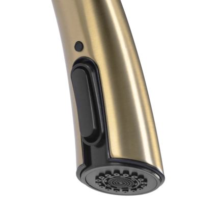 REA-B5312 - Keukenkraan met uittrekbare sproeikop ROSS 43 cm geborsteld goud