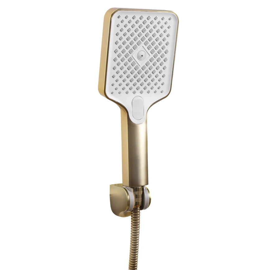 REA-B7100 - Badset HASS geborsteld goud