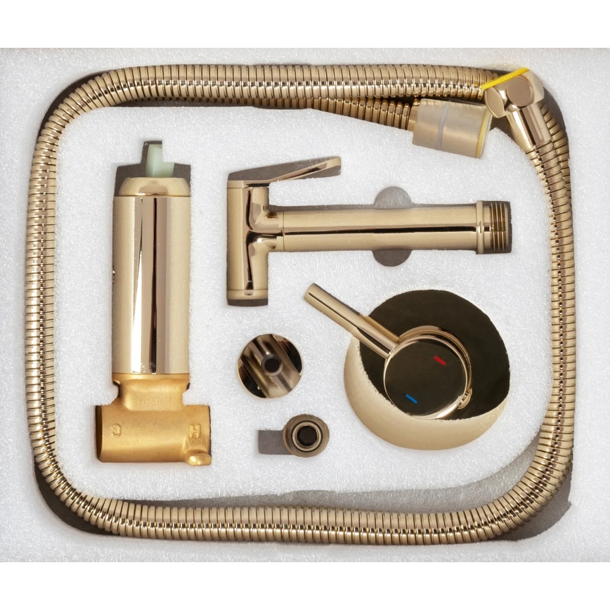 REA-B8979 - Bidetkraan met bidetdouche voor inbouwmontage LUNGO, goud