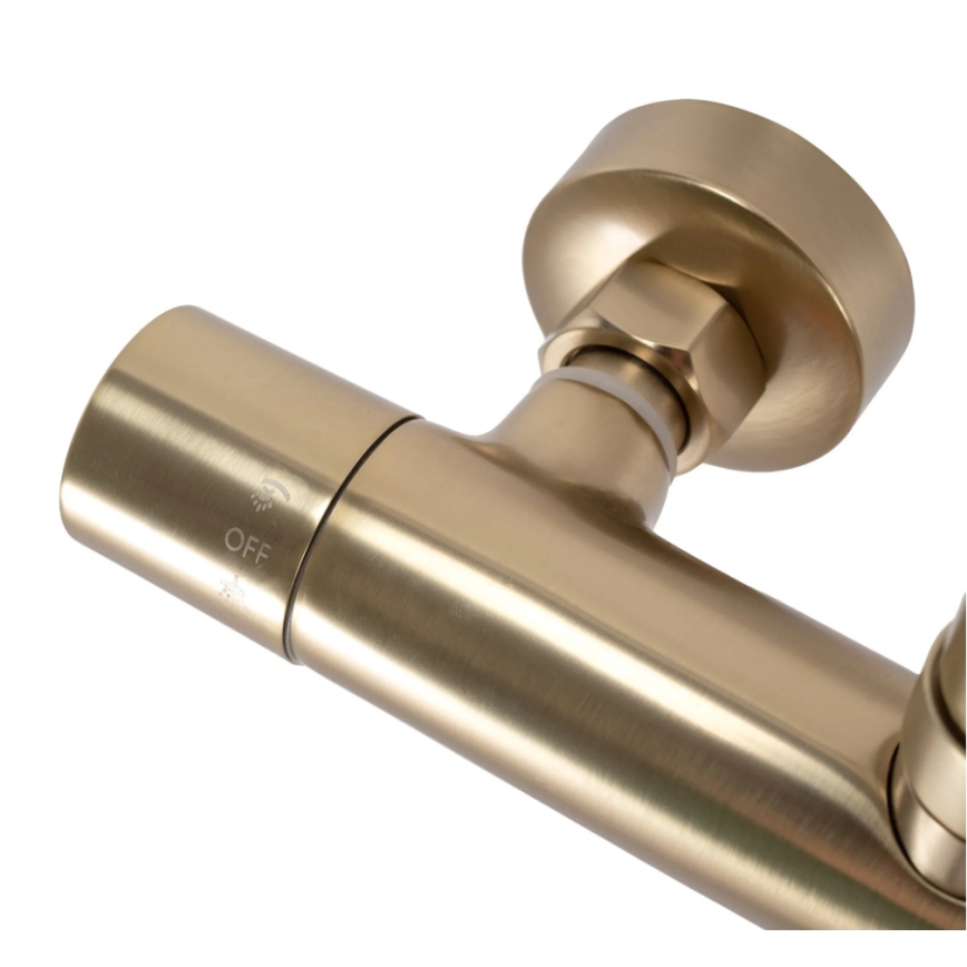 REA-P2323 - Doucheset PAROT met thermostaatkraan, geborsteld goud