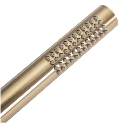 REA-P4160 - Doucheset met inbouwmengkraan LUNGO geborsteld goud