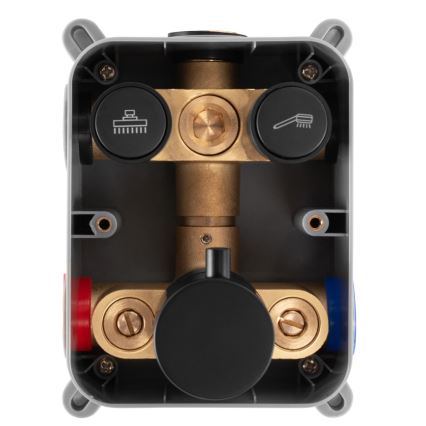 REA-P8551 - Doucheset met thermostatische inbouwkraan LUNGO geborsteld goud