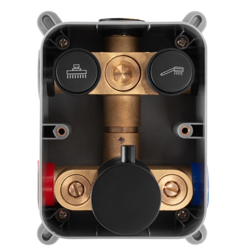 REA-P8551 - Doucheset met thermostatische inbouwkraan LUNGO geborsteld goud