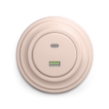 Reblig - Retro USB-stopcontact A+C met afdekraam oudroze