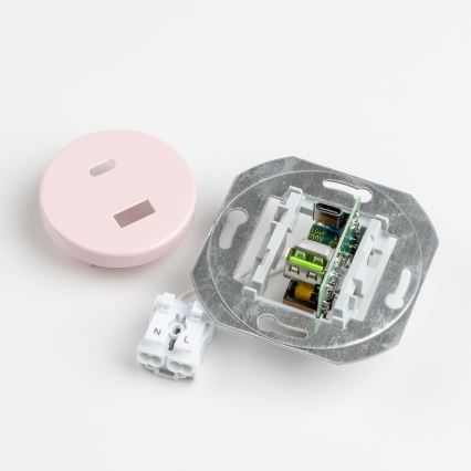 Reblig - Retro USB-stopcontact A+C met afdekraam oudroze