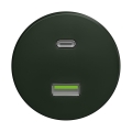 Reblig - Retro USB-stopcontact A+C zonder afdekraam, groen