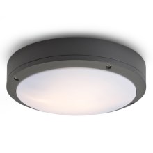 RED - Design Rendl - R10382 - Plafond Lamp voor Buiten SONNY 2xE27/18W/230V IP54