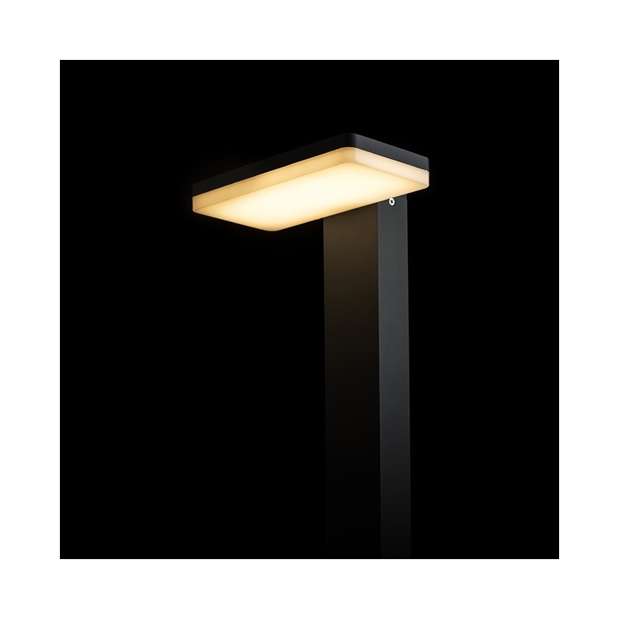 RED - Design Rendl - R12515 - LED Lamp voor Buiten RINA LED/12W/230V IP44