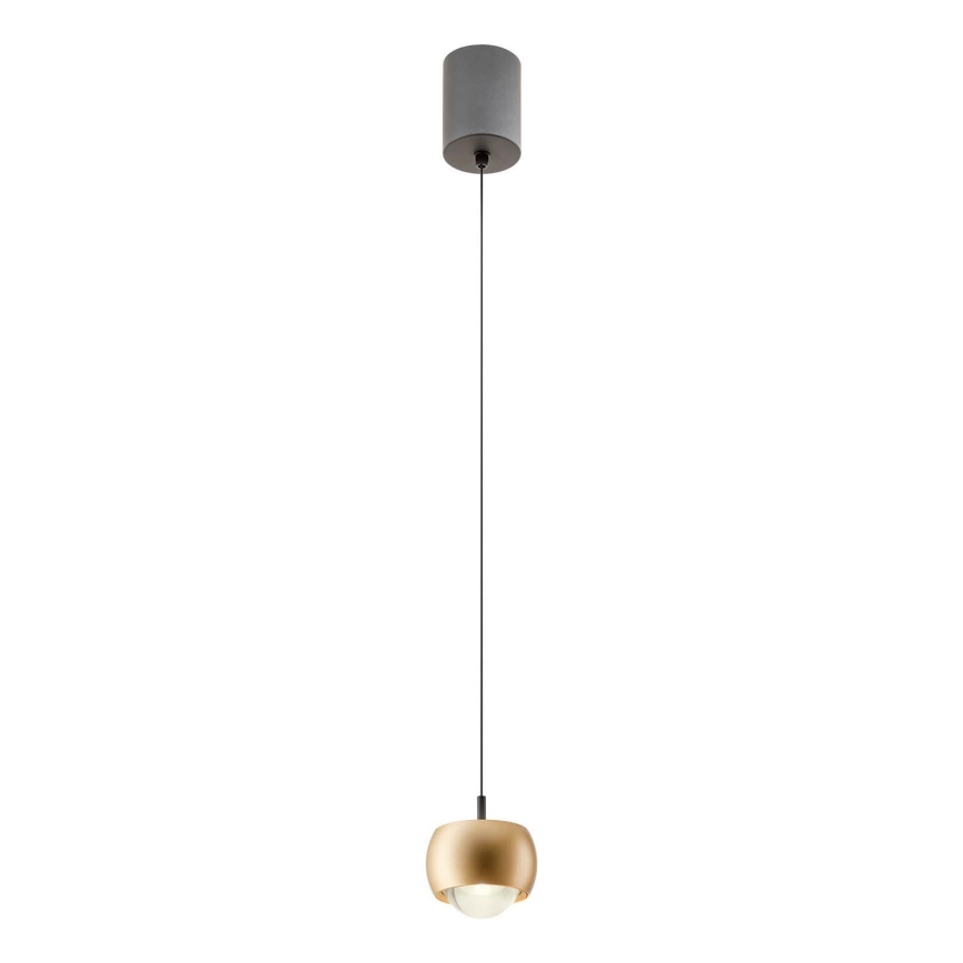 Redo 01-3547 - LED Hanglamp aan een koord AVES LED/12W/230V diameter 9,6 cm CRI 90 goud