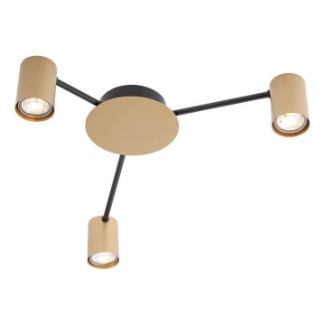 Redo 01-4049 - Spot NOA 3xGU10/10W/230V goud