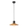 Redo 01-4054 - Hanglamp aan een koord FRESNO 1xE27/42W/230V diameter 24 cm