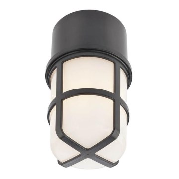 Redo 90195 - Buitenwandlamp TRITON 1xE27/28W/230V IP54 zwart