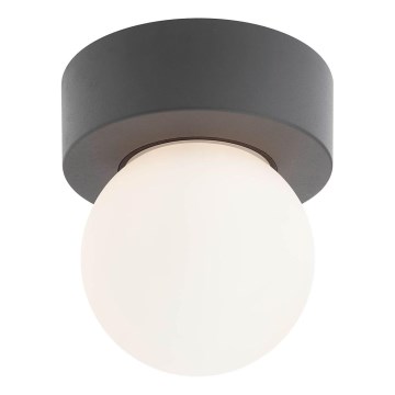 Redo 90641 - Plafondlamp voor buiten BULK 1xE27/28W/230V IP44 antraciet