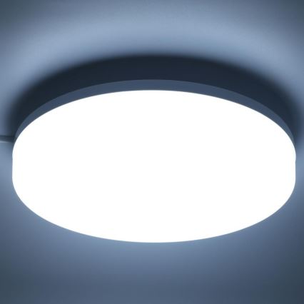 LED RGBW Dimbare badkamer plafondlamp LED/20W/230V Wi-Fi IP44 wit