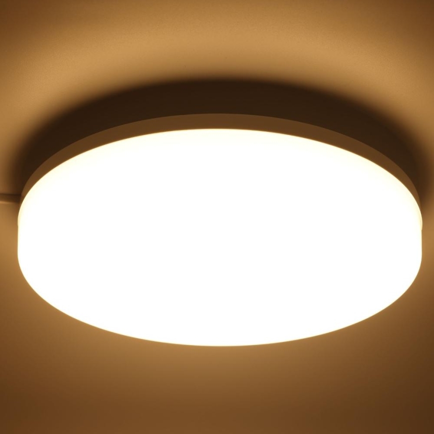 LED RGBW Dimbare badkamer plafondlamp LED/20W/230V Wi-Fi IP44 wit