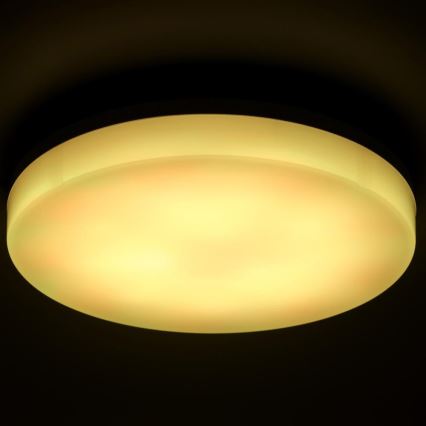 LED RGBW Dimbare badkamer plafondlamp LED/20W/230V Wi-Fi IP44 wit