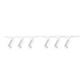 Richtbare spot in railsysteem MICA 6xGU10/10W/230V wit/mat chroom
