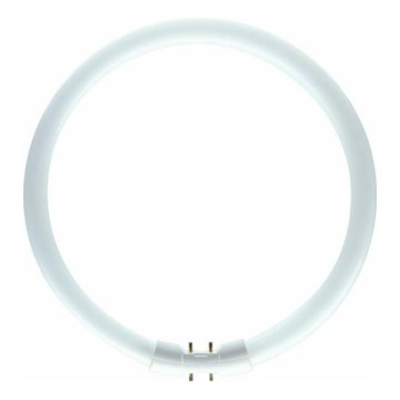 Ronde TL-buis Philips 2GX13/60W/230V - MASTER TL5