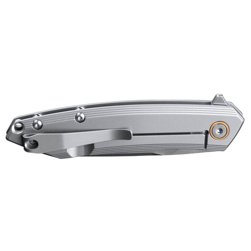 Ruike RUP831SSA - Opvouwbaar compact mes 19,5 cm zilver