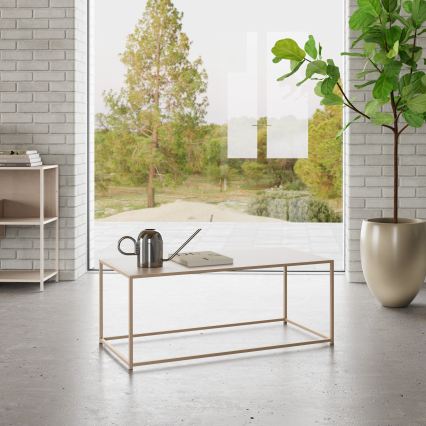Salontafel SARON 100x50 cm grijs