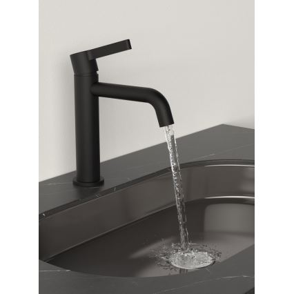 Sapho - Kraan voor wastafel ICONIC 18,7 cm mat zwart