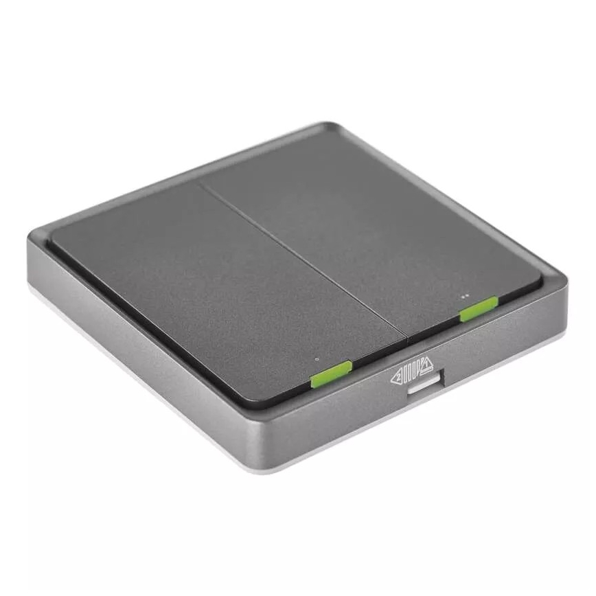Schakelaar 2-knops GoSmart 1xCR2430 Tuya zwart