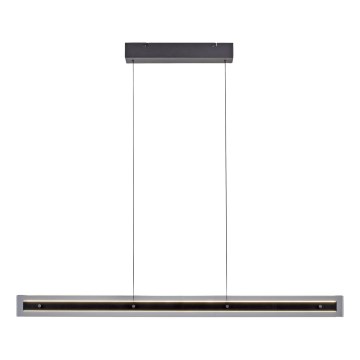Schöner Wohnen 11316-18 - LED-dimbare hanglamp met kabel LENA LED/32W/230V zwart