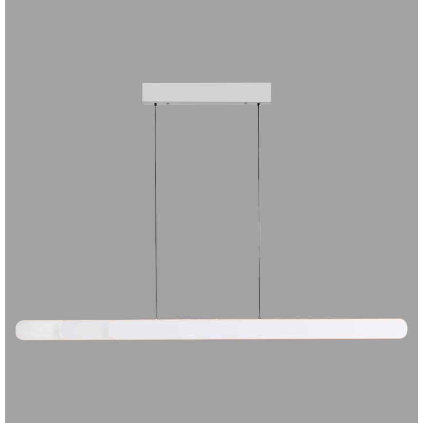 Schöner Wohnen 12577-16 - Dimbare LED-hanglamp aan kabel ADRIANA ROUND 2xLED/24W/230V 2700/3000/3500/4000/5000K wit