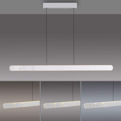 Schöner Wohnen 12577-16 - LED-dimbare hanglamp aan kabel ADRIANA ROUND 2xLED/24W/230V 2700/3000/3500/4000/5000K 160 cm wit